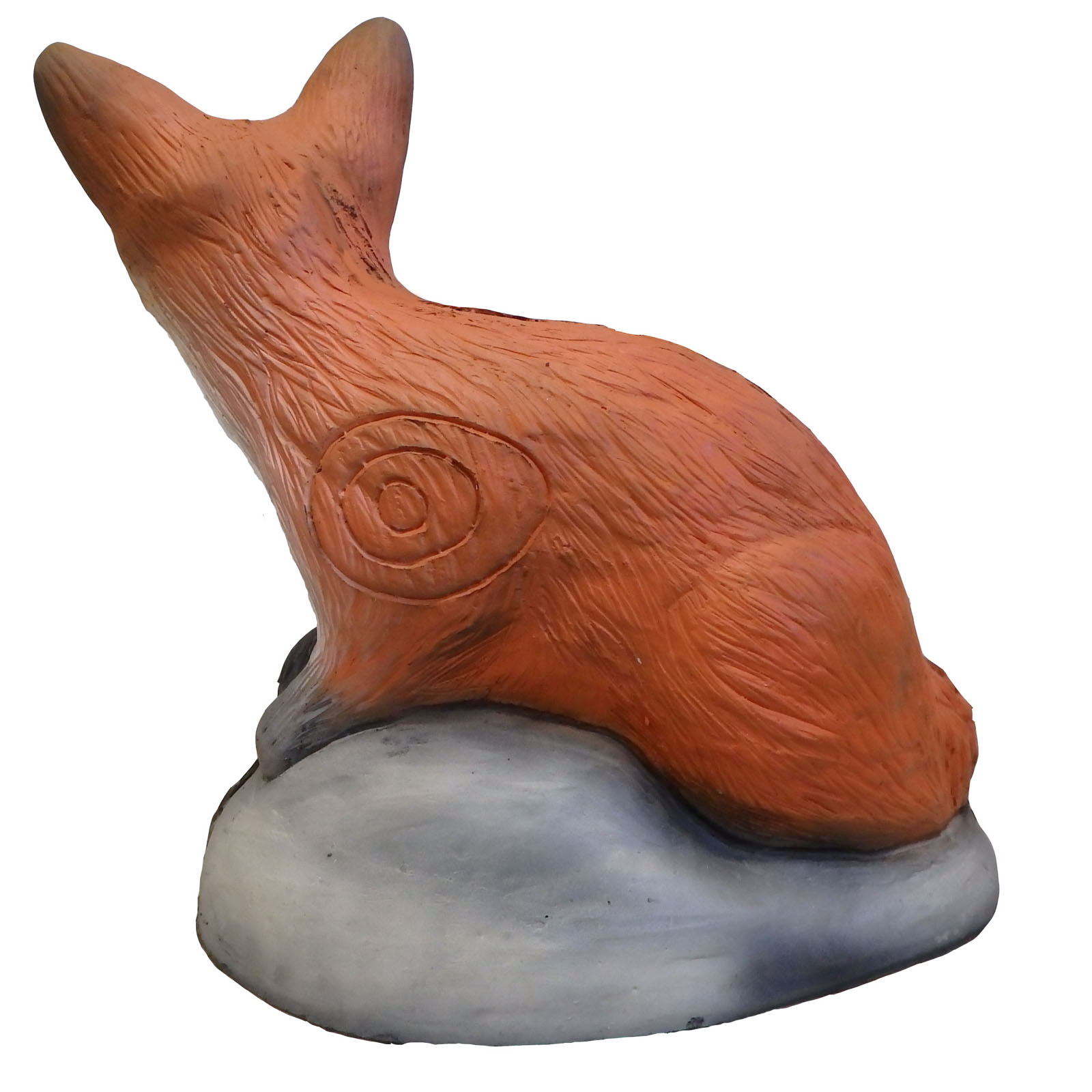 Räv ung (Vulpes vulpes) - 3