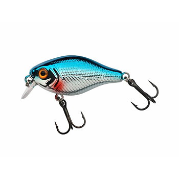 Pulse Fry shallow 3.8cm
