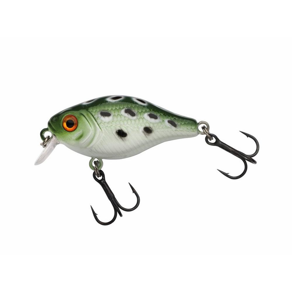 Pulse Fry shallow 3.8cm - 6
