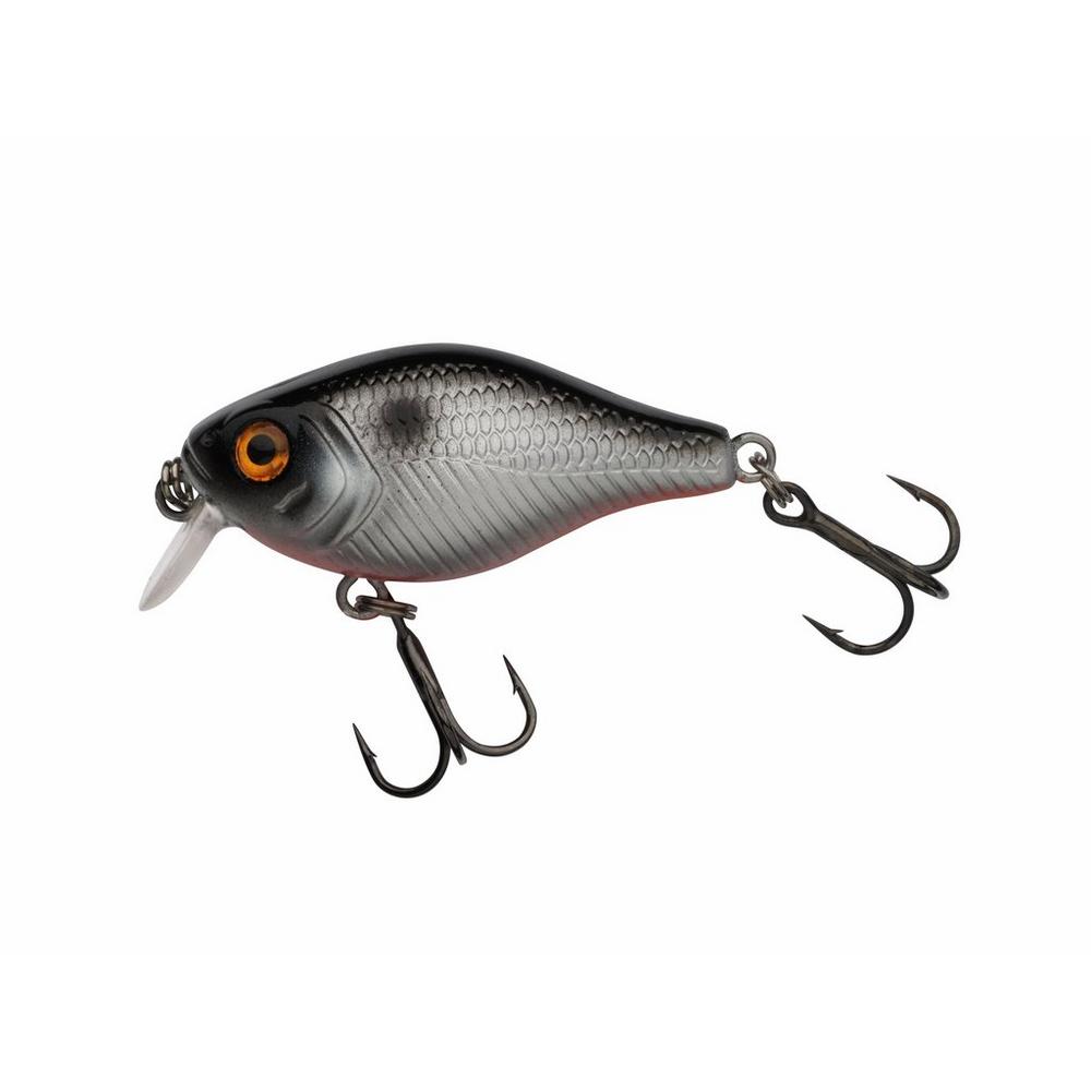 Pulse Fry shallow 3.8cm - 7