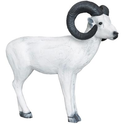 Snöfår (Ovis dalli)