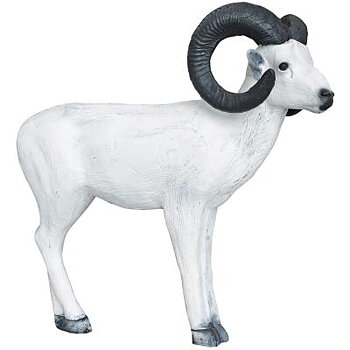 Snöfår (Ovis dalli)