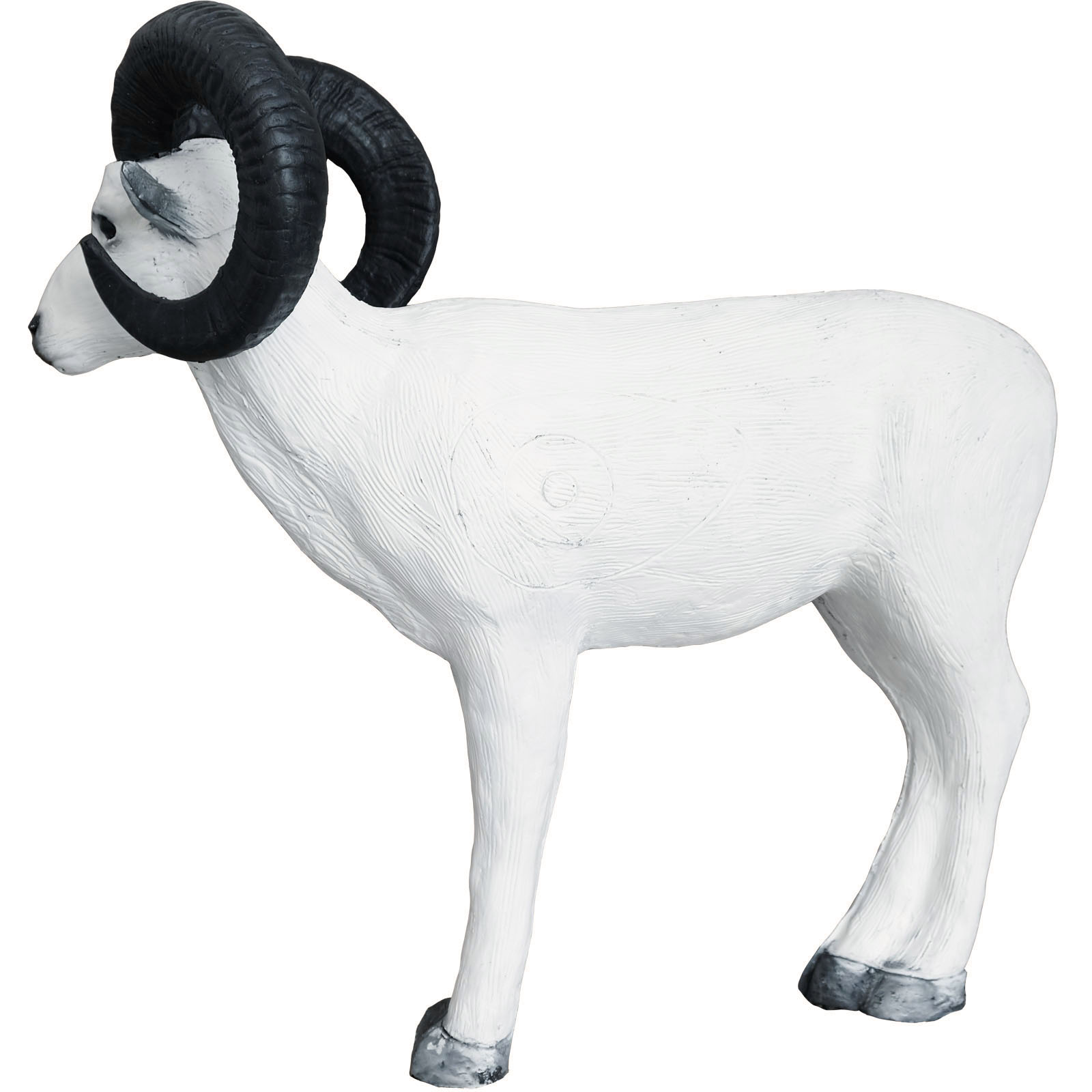 Snöfår (Ovis dalli) - 3