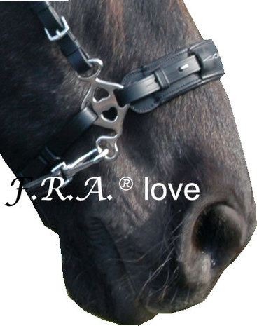 Hackamore shanks F.R.A® 'Love' Short, gold - 4