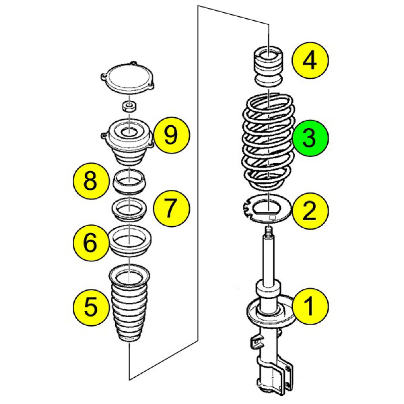 Coil springs 9-5 front  (3) - 2