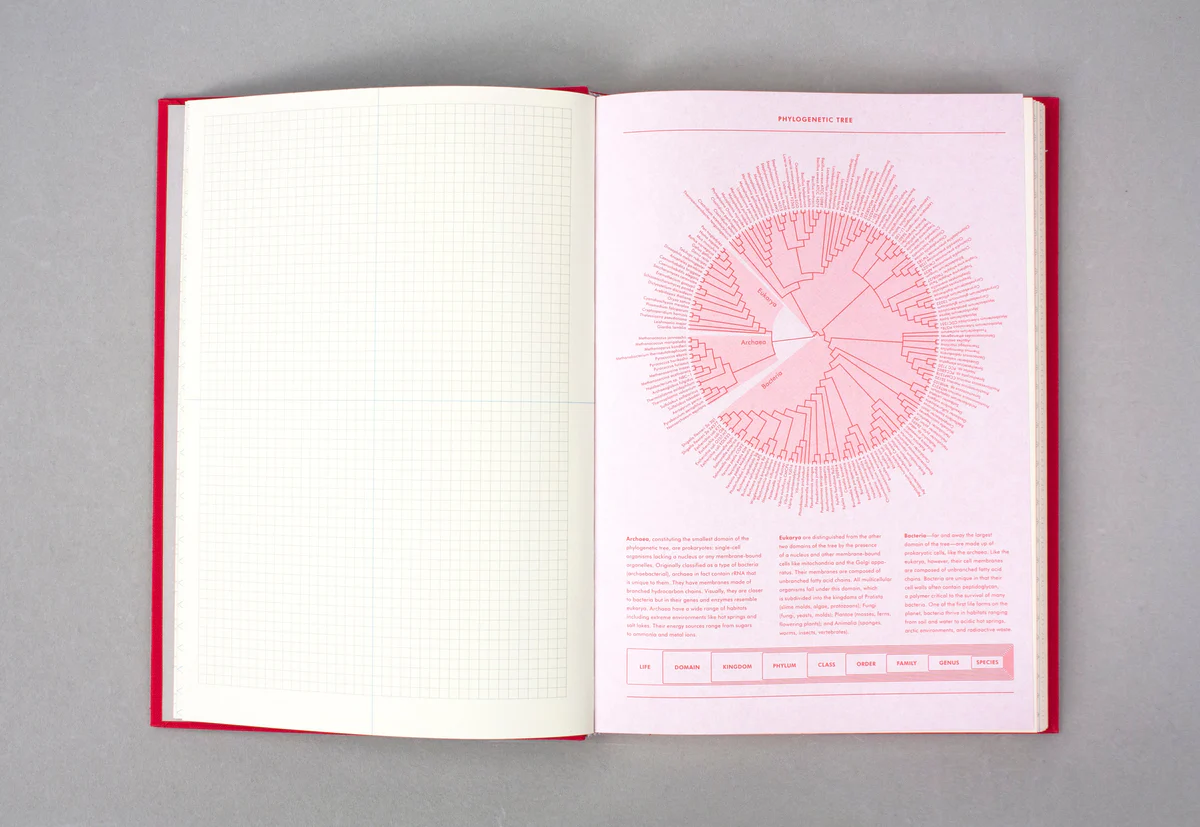Grids & Guides Notebook, Red - 6
