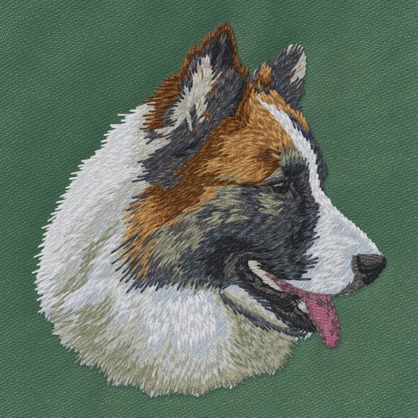Isländsk fårhund