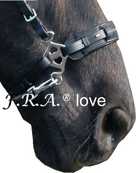 Hackamore skänklar F.R.A® 'Love' Short, silver