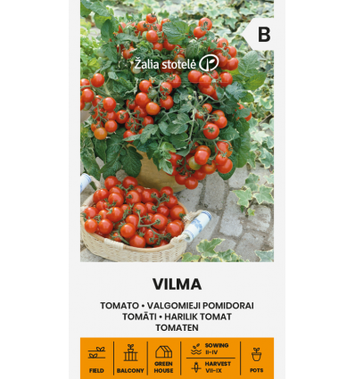Dvärg/Busktomat Vilma