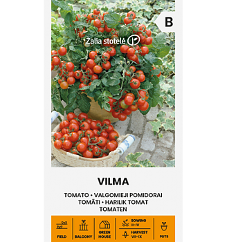 Dvärg/Busktomat Vilma