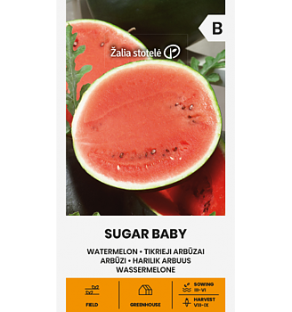 Vattenmelon "Sugar Baby"