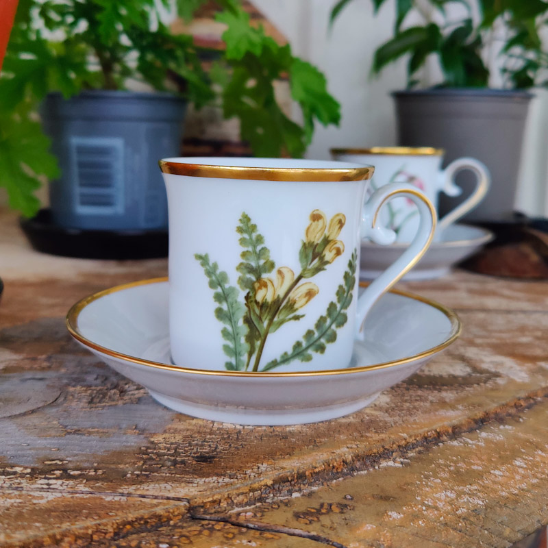 Kaffekopp Svenska Landskapsblommor Kung Karls spira Västerbotten
