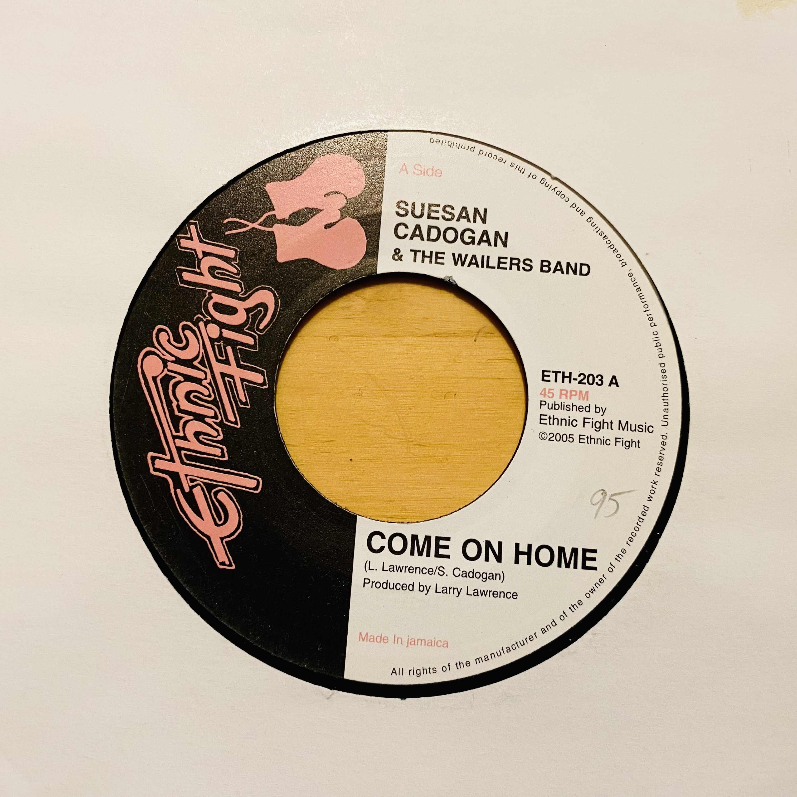 Suesan Cadogan & The Wailers - Come On Home