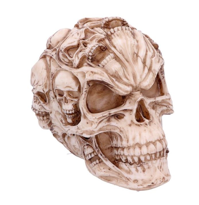 Skull of Skulls , Skalle