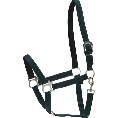 Horse Guard nylongrime med foring (mange farger) - 5