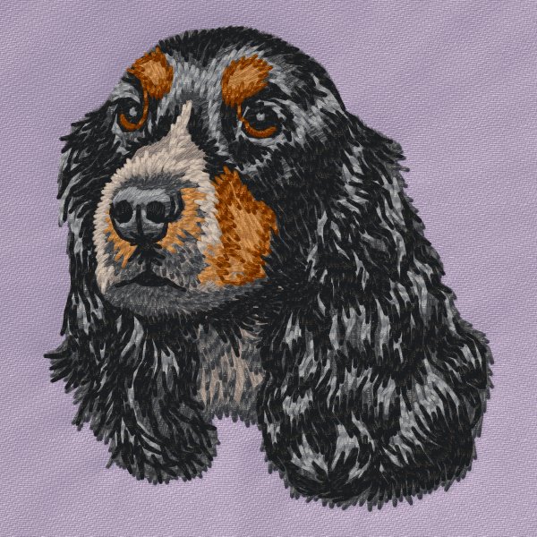 Cockerspaniel svart tan