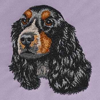 Cockerspaniel svart tan