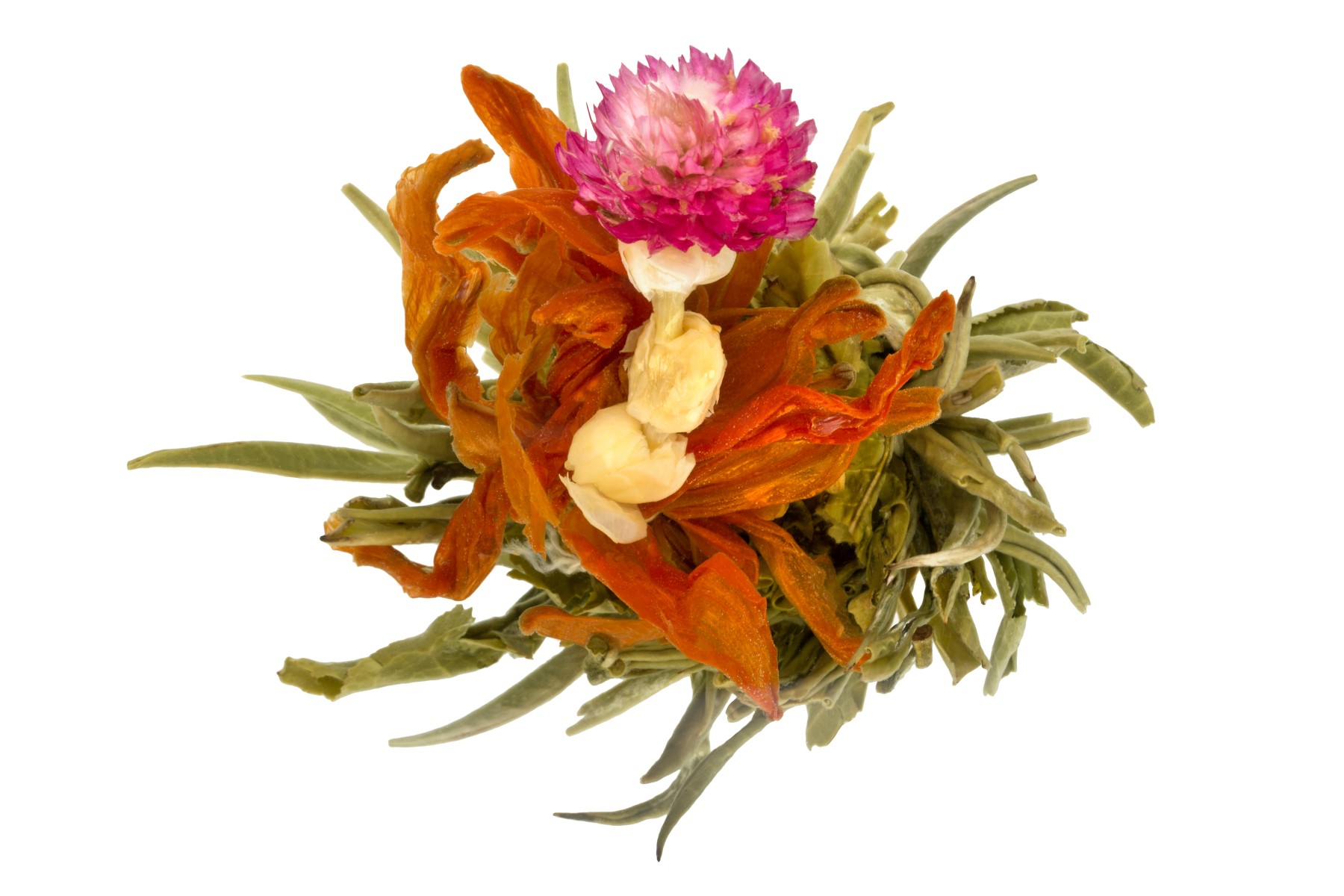 Bai He Xian Zi - 'Divine Lily' - 1st