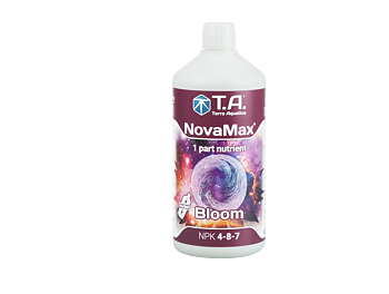 T.A  Nova Max Bloom