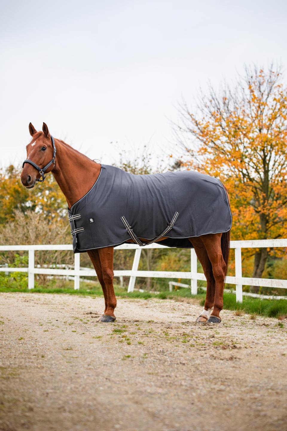 HorseGuard Jersey Cooler