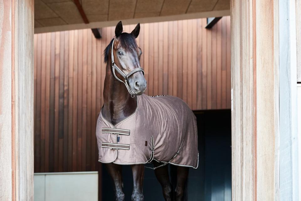 HorseGuard Jersey Cooler - 7
