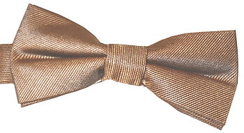 Barnfluga BF058