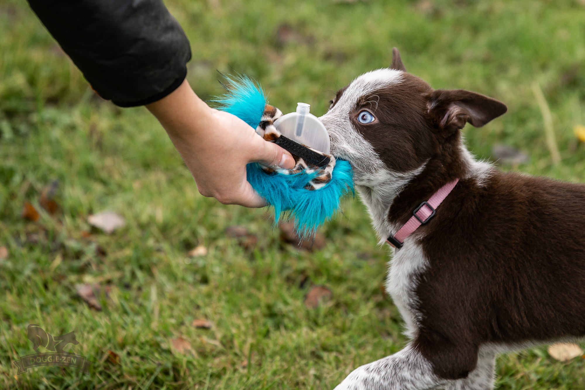Pocket Fake Fur Toy - 5