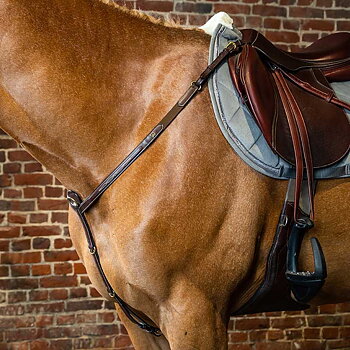 DYON BREASTPLATE DY