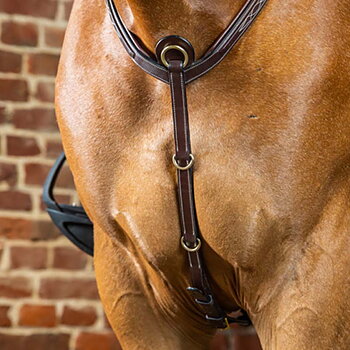 DYON BREASTPLATE DY