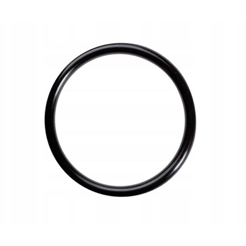 O-ring Bränslepump