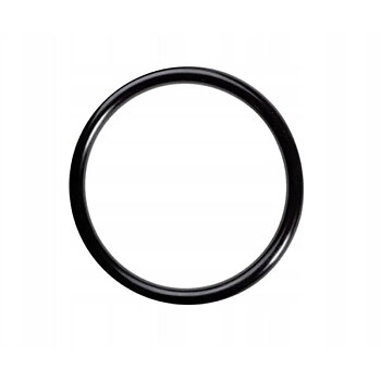 O-ring Bränslepump