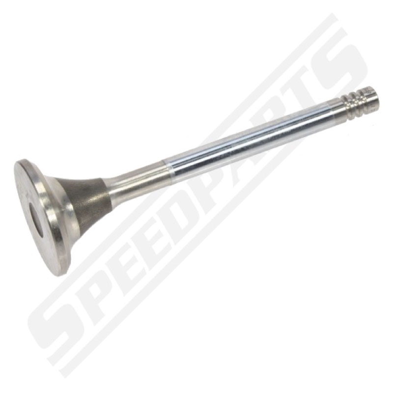 Valve / Exhaust