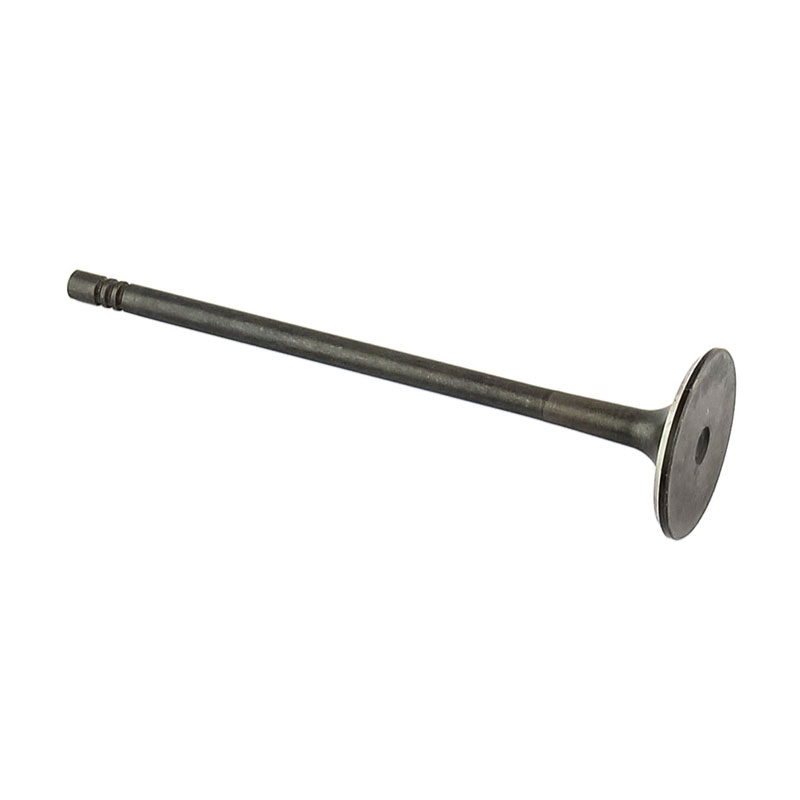Valve / Exhaust (14)
