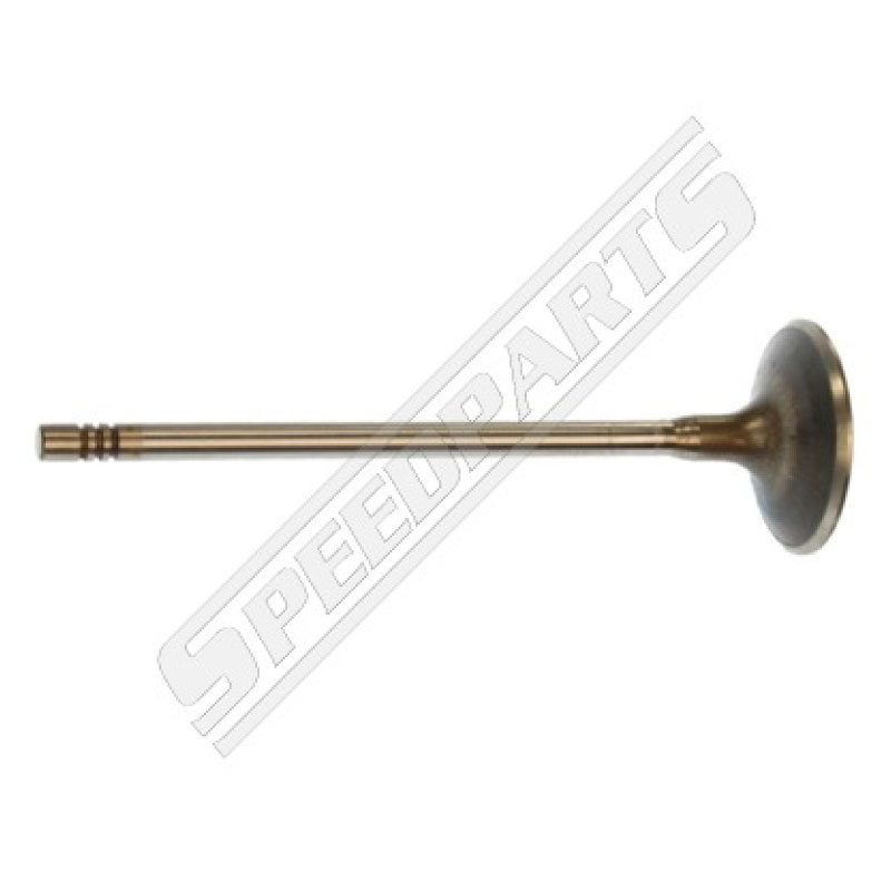Valve / Inlet (13)