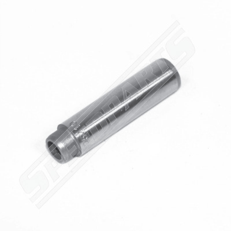 Valve guide (10)