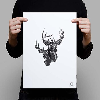 Oh Deer