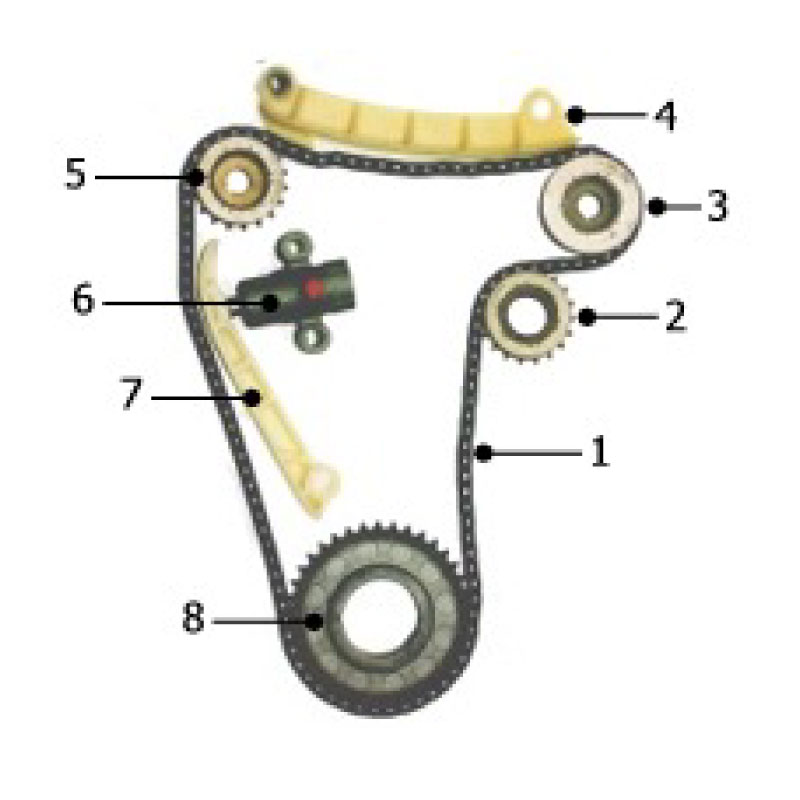 Lower chain gear timing gear (8) - 2