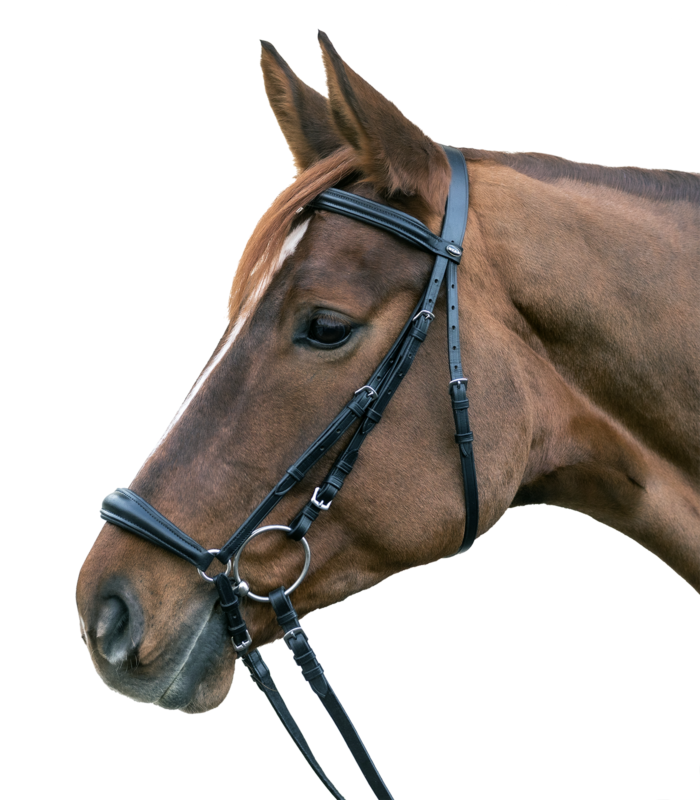 Träns Star shetland-full
