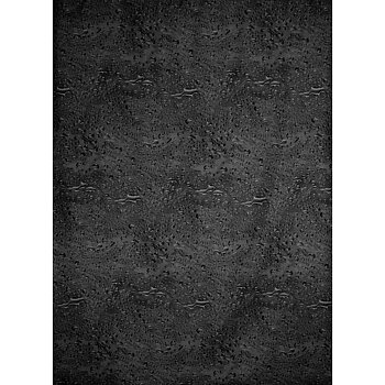 Duschy Shower curtain Water black
