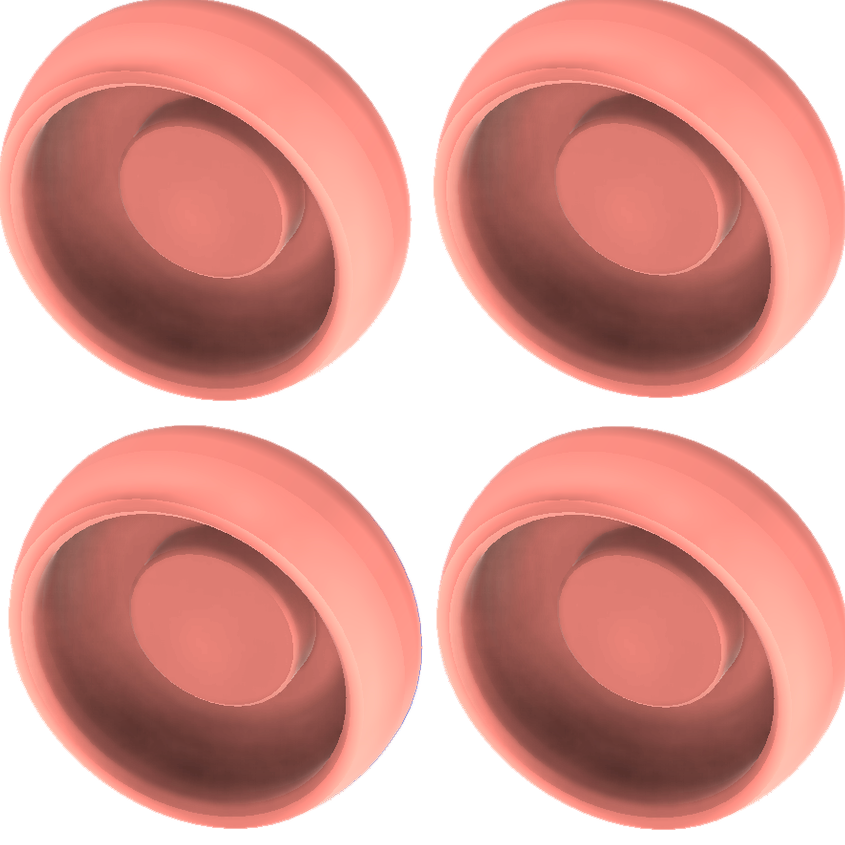 DESS Loc Rosa 0-20° matris 4 p - 1360 g