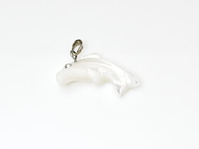 Delfin