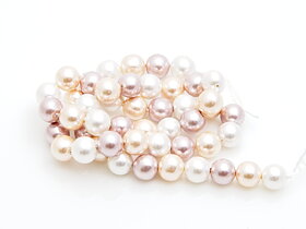 Southsea shell