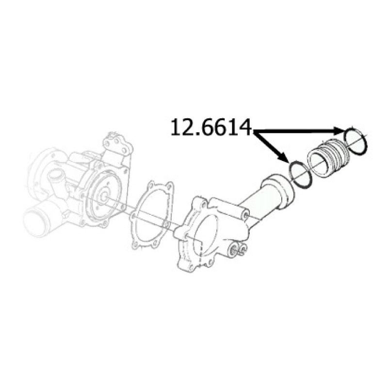 O-ring kit (2pc) Waterpump - 2