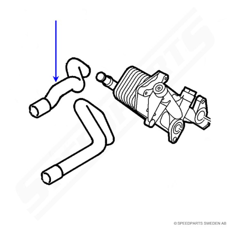 Coolant hose oil cooler B207 - 2