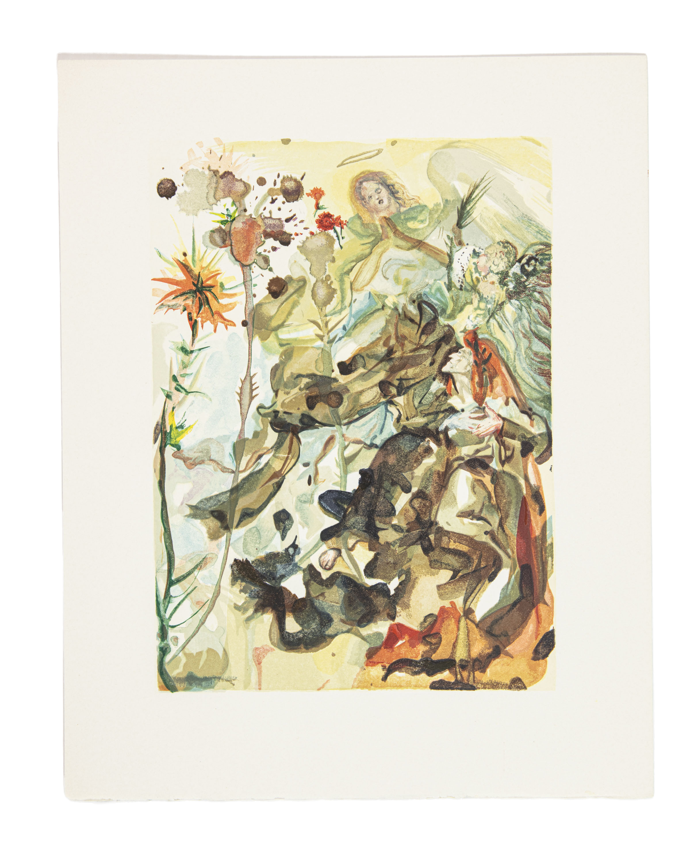 Paradise nr 25 - Saint James and Hope