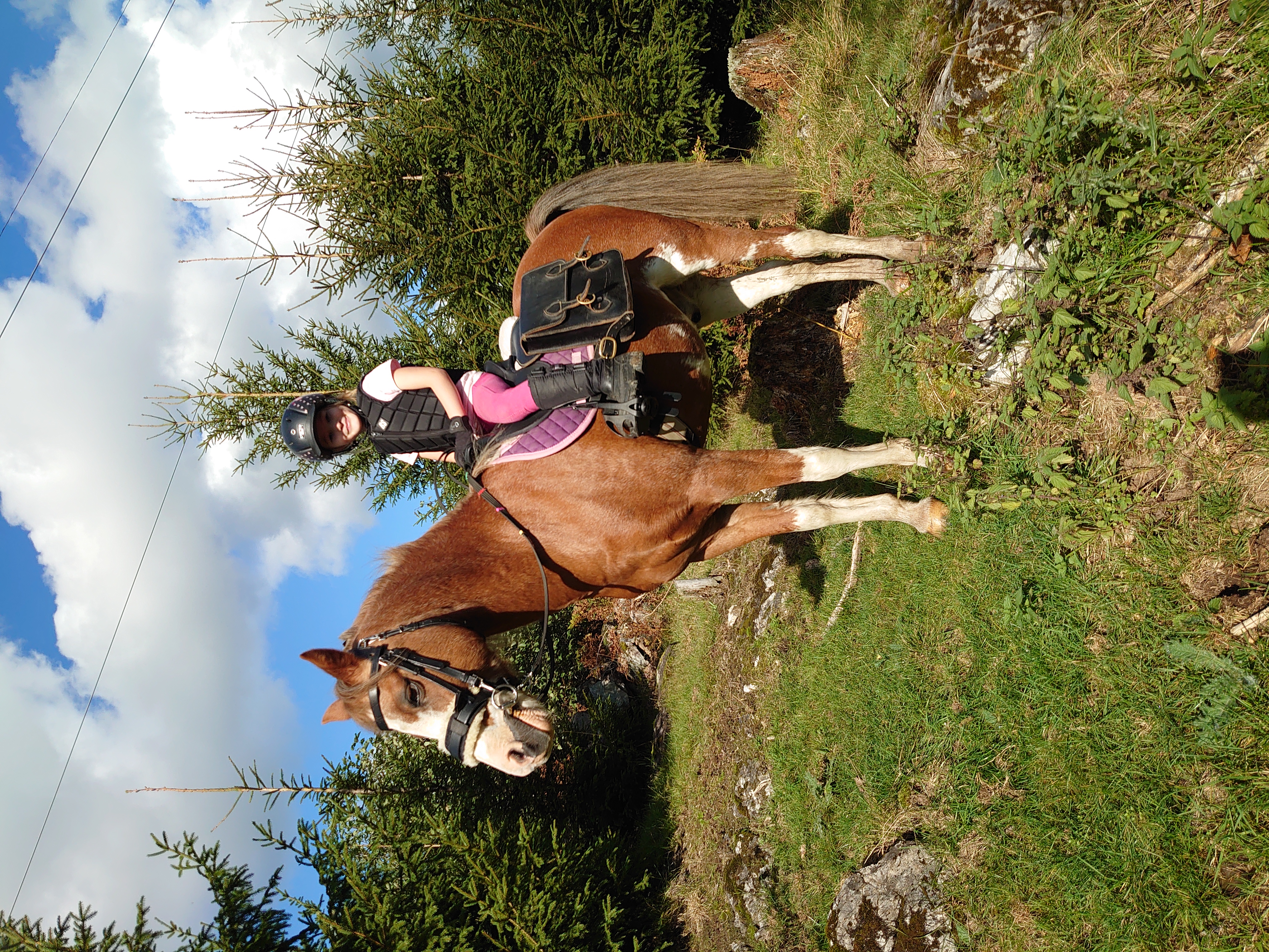 BESTSELGER! Wintec Kids ponnisal - 7