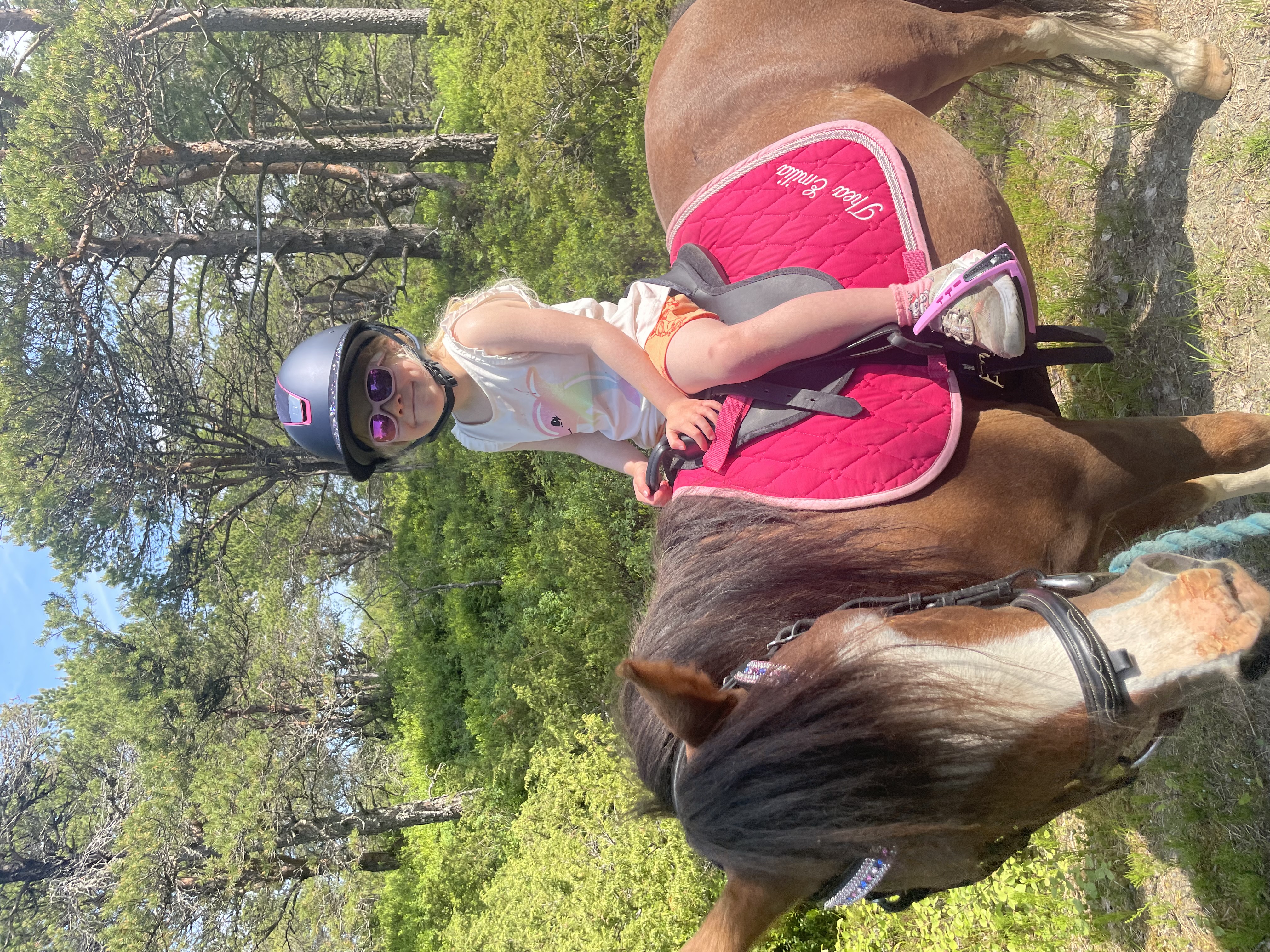 BESTSELGER! Wintec Kids ponnisal - 5