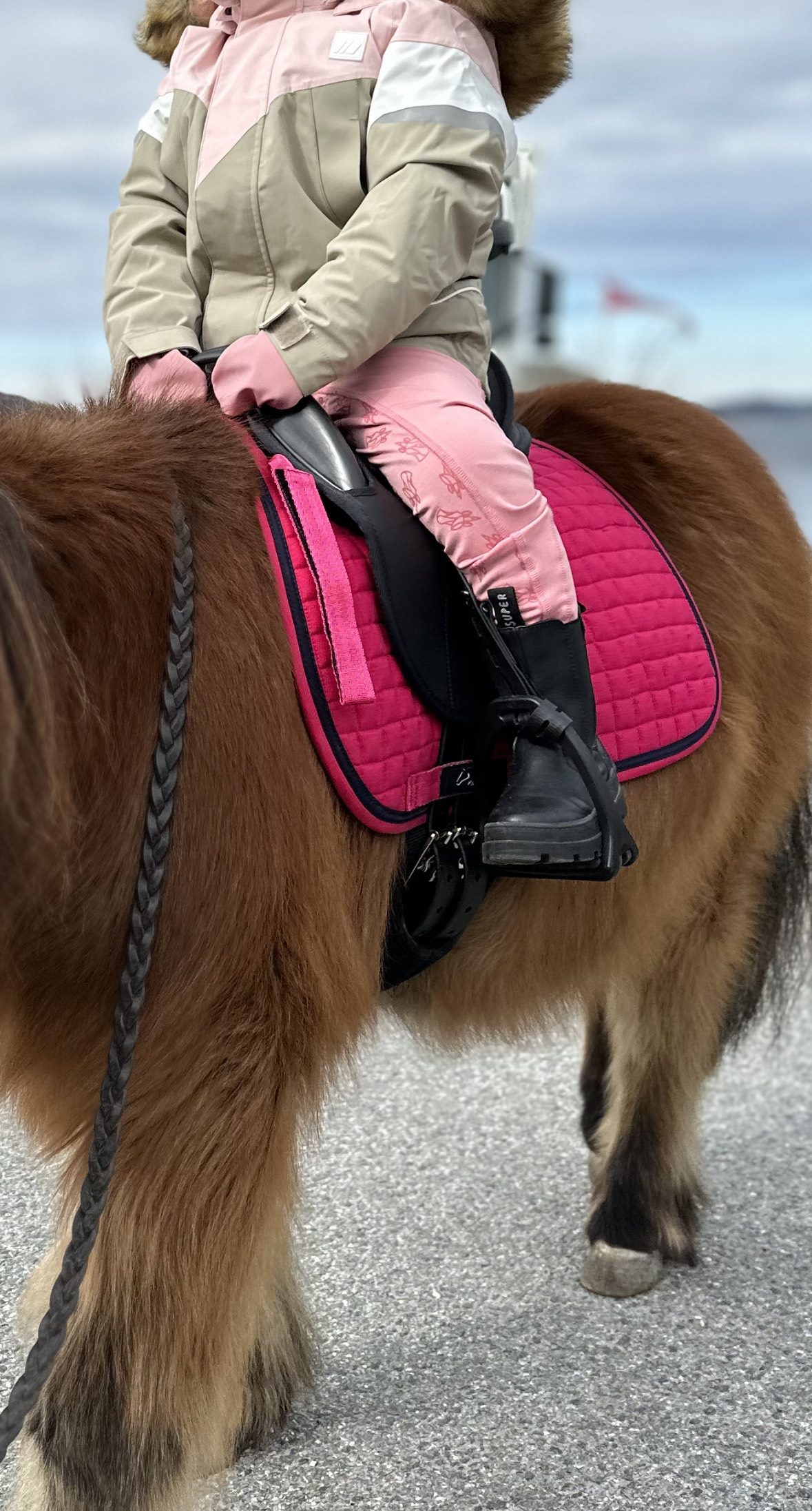 BESTSELGER! Wintec Kids ponnisal - 4