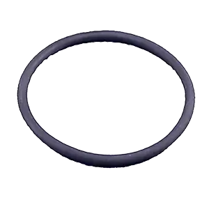 O-ring