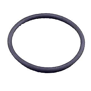 O-ring